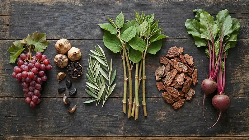 BP-7 fresh ingredients laid out on an old antique rustic table