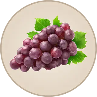 Bunch of grapes