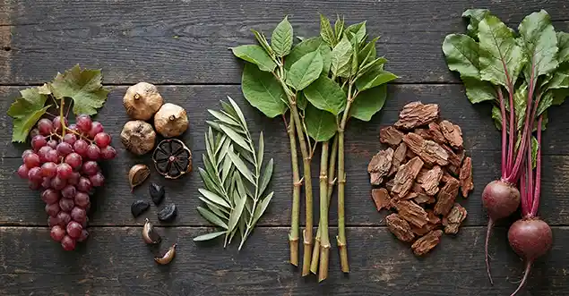 Ingredients including grapes, garlic, olive leaves, pine bark, Japanese knotweed and beet roots arranged on a wooden table